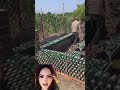 الي بيته من ازاز حرفيا  
