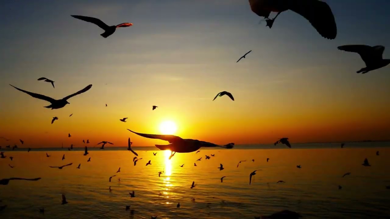 Relaxing Beach Jazz 🌊 Smooth Jazz Music for Studying, Working, Focus & Meditation