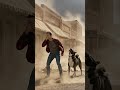 Akita dog: Tornado in Texas - Heroic Survival Story!