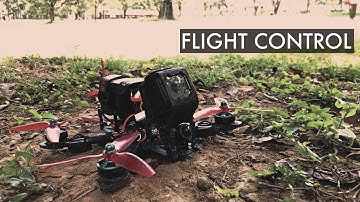 FPVLife || First Impression DYS F4 V2 Flight Control