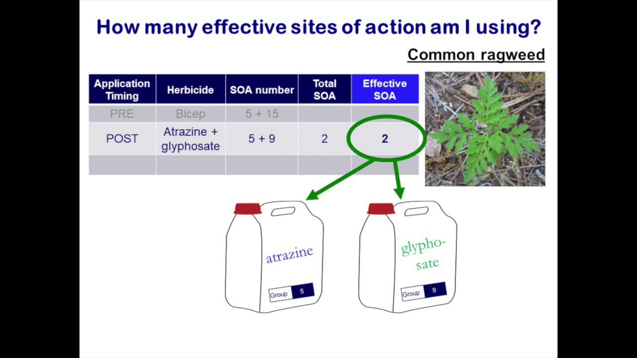 Take Action Herbicide Classification Chart