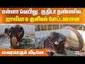 'என்னா வெயிலு..குதிடா தண்ணில..' ஜாலியாக குளியல் போட்ட யானை - வைரலாகும் வீடியோ..