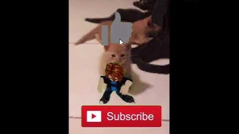 My new YouTube channel intro (read desc)