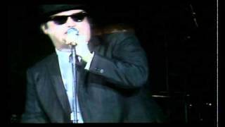 Blues Brothers - Flip Flop and Fly