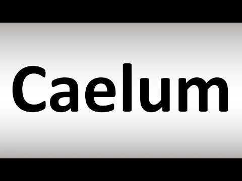 Video: ¿Se escribe caelum?