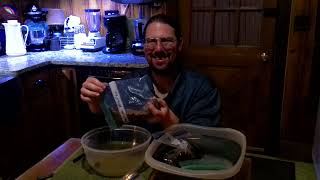 Preparing & Stratifying Hickory, Butternut (White Walnut) Seeds For Spring Planting!