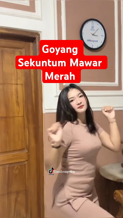 Goyang Dangdut | Sekuntum Mawar Merah ( Elvy Sukaesih /Cipt Rhoma Irama )tiktok: elsasilviaaprillia