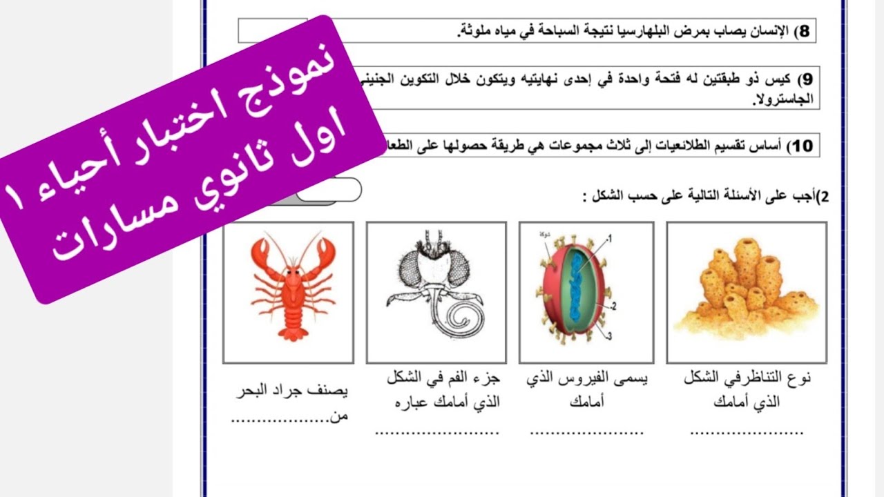 اختبار أحياء ١ أول ثانوي مسارات  / ملخص أحياء ١