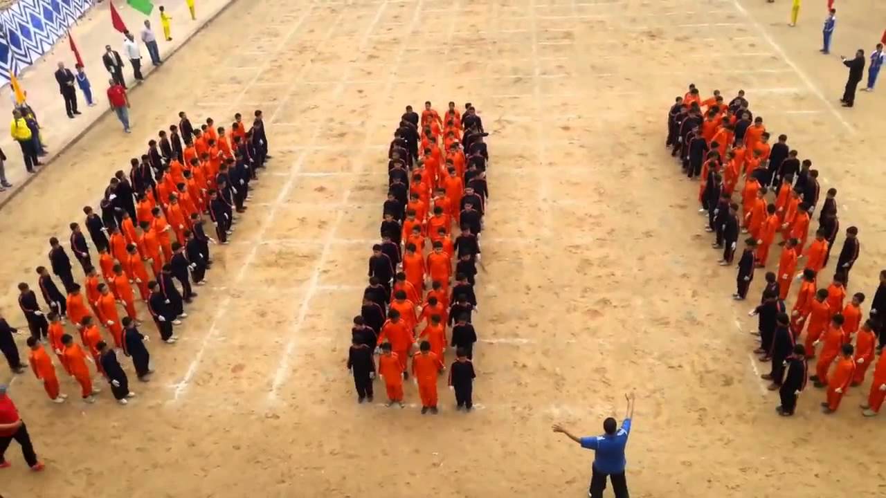 عرض رياضى غرب المحلة تصميم (احمد عيد- محمد طاحون-احمد ذياده- محمدمكى)