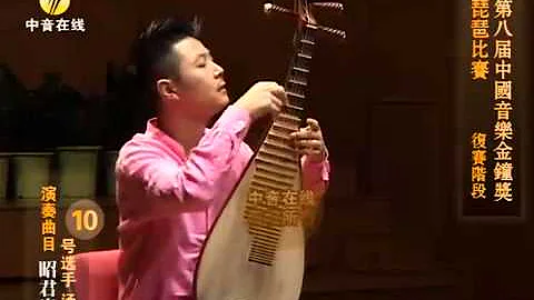 琵琶独奏 《昭君出塞》 - 天天要闻