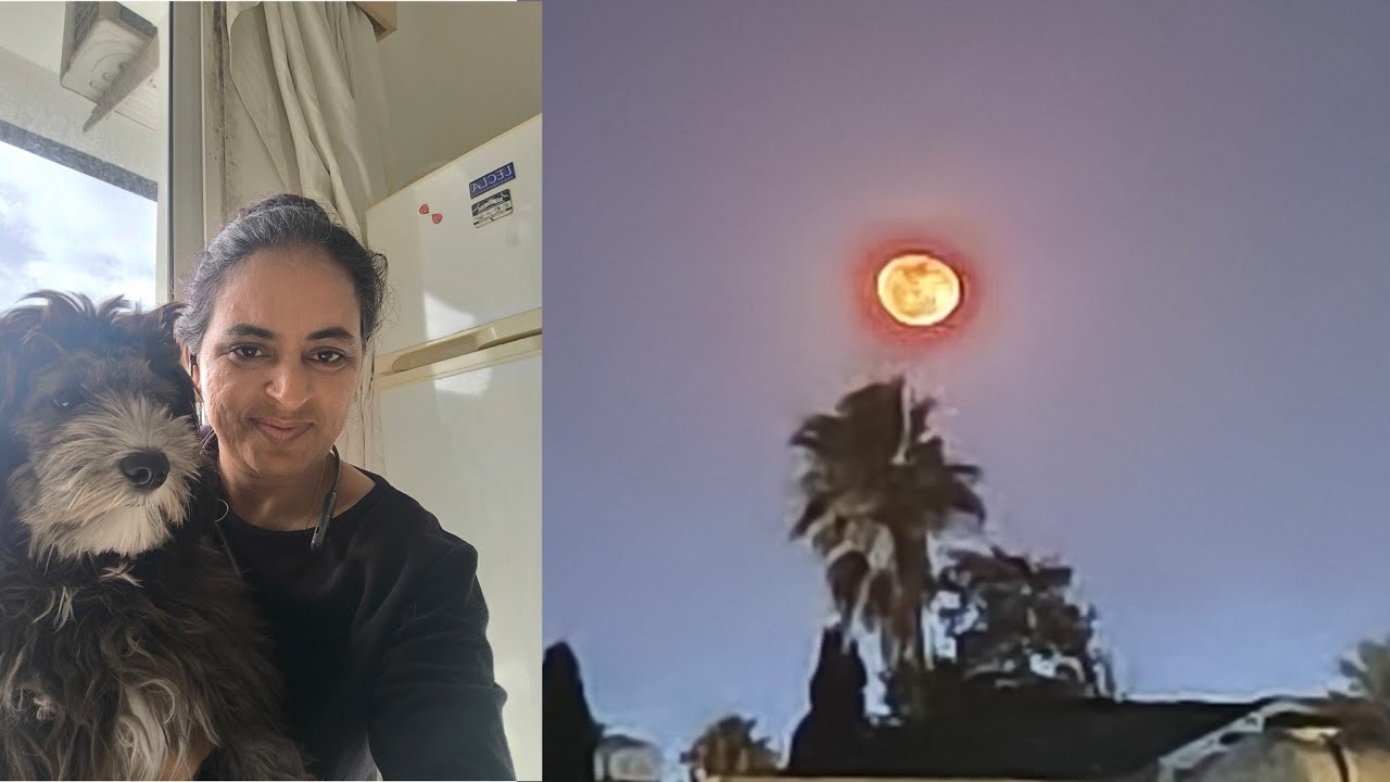 કારય આ વાત મગજમાં નુતી આવી 🤦 આજે ખબર પડી 🤔