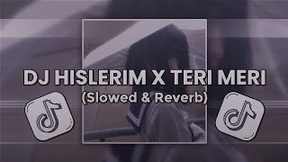 DJ HISLERIM X TERI MERI (Slowed & Reverb)