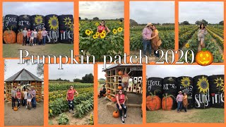 Pumpkin patch 2020π