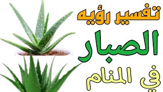 تفسير رؤيه الصبار في المنام للرجل والمرأه