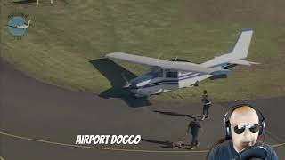 Sydney Bankstown Cessna Plane Crash #avgeek #aviation #pilot