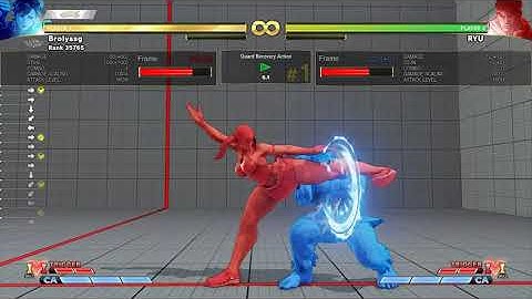 Brolylegs SFV Seminar- The art of patience