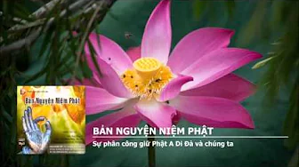 Sự phân công giữ Phật A Di Đà và chúng ta 
