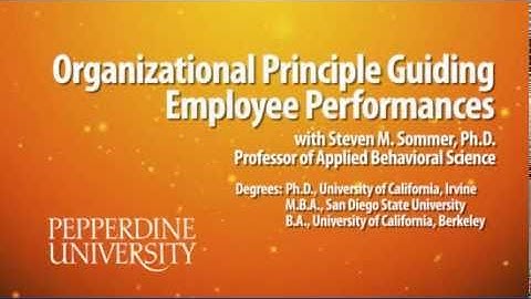 Organizational Principle Guiding Employee Performances with Steven Sommers, Ph.D.