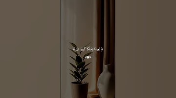 #اكسبلور #القزابري #دويتو #المصحف #تلاوة_خاشعة #لايك #الرحمن #duet #الطحان #قرآن