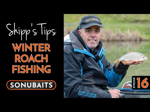 SHIPP&rsquo;S TIPS - Episode 16 - Red Letter Roach Fishing!