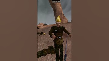 Killing the adoring fan in Morrowind every day until Skywind and Skyblivion are released Day - 928