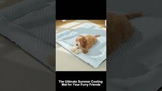 Summer is here, and your pet deserves a cool, cozy retreat! 🦮🐈⬛#Pet CoolingMat #Pet Bed #pet