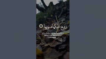 Surah An-Nāzi'āt (سورة النازعات)​أَأَنتُمْ أَشَدُّ خَلْقًا أَمِ السَّمَاءُ ۚ بَنَاهَا# Viral video