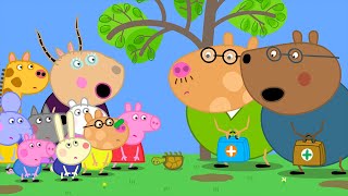 The Upside Down Tortoise   Peppa Pig and Friends Full Episodes