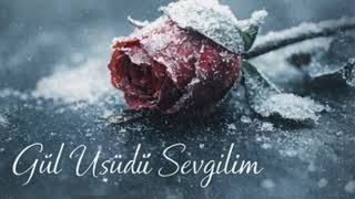 Gül Üşüdü Sevgi̇li̇m