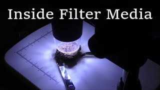Looking INSIDE Filter Media for Aquariums and Ponds