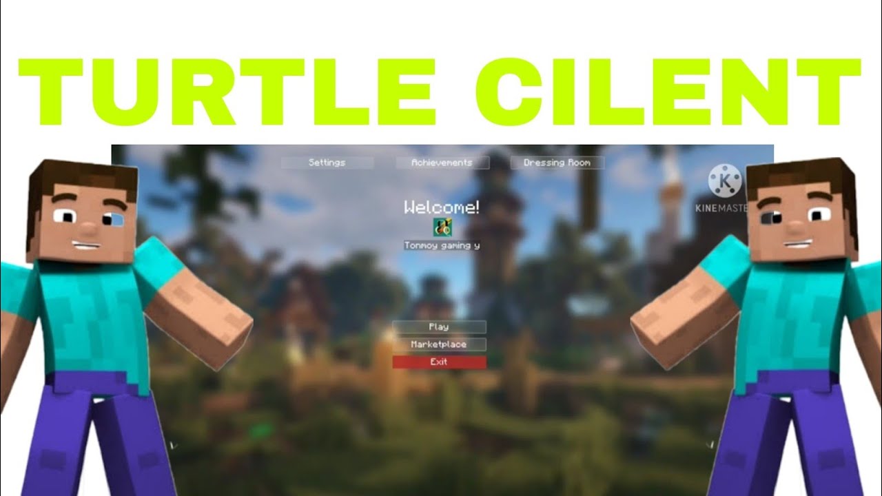 MINECRAFT LAG FIX 1.18.TURTLE CILENT|TY GAMING