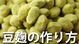 豆麹の作り方-自宅で簡単レシピ　-How to make beans koji | Homemade Beans Koji Recipe
