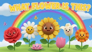 Celebrity What Flower Is This? 🌸 | Learn Flower Names | Fun Kids Song|Nursery rhyme  Net Worth