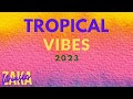 Happy tropical house      instrumental music to relax work study  part 4  zakamusic