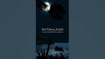 Part 21: دقائق من الراحة النفسية من سورة النبأ🖤😌#قران #quran #عبدالرحمن_مسعد #foruyou #viral_video