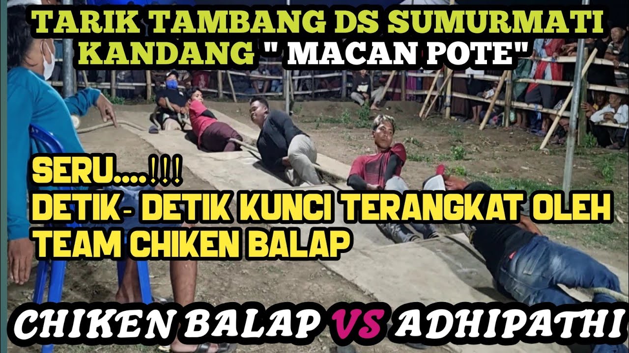 TARIK TAMBANG // CHIKEN BALAP ( Purut) Vs ADHIPATHI ( Banjarsari) Arena Sumurmati
