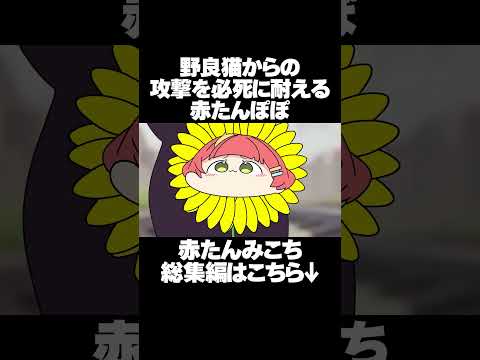 【手描き】野良猫からの攻撃を必死に耐える赤たんぽぽ【さくらみこ/ホロライブ切り抜き】