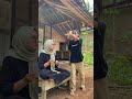 Kumpulan video lucu #comedy #funya #lucu #ngakak #kocak