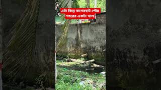 খাল না ময়লা ফেলার জায়গা।।