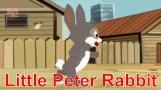 Little Peter Rabbit Latest Nursery Rhymes For Kids With Music | Funny 3D Cartoon Animated Rhymes by Nursery Rhymes For Kids 568 views 6 years ago 1 minute, 6 seconds