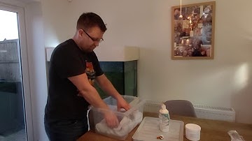 How to treat shell rot in turtles and terrapins