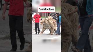 Animals We Are Lucky They Are Extinct