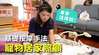 【專家這樣說】寵物居家照顧 基礎按摩手法 │愛寶寵新知 AIPAWs X 保健知識家