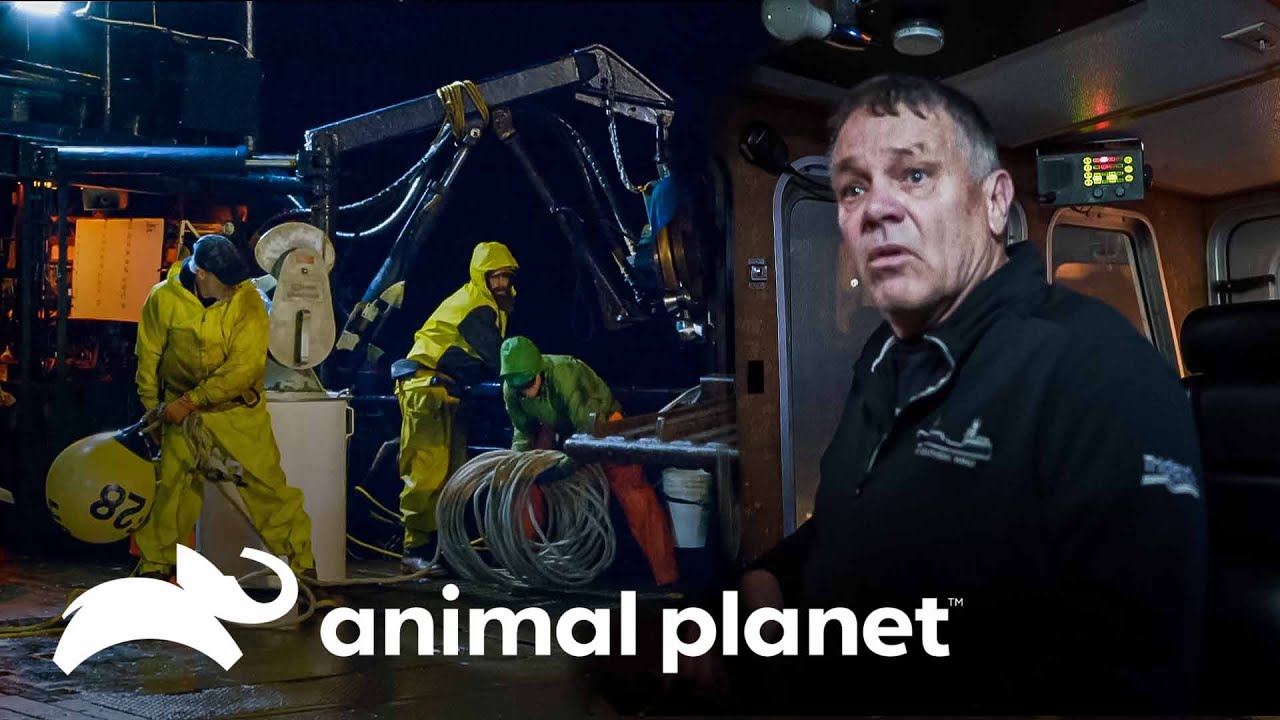 Tempestade e ventos fortes dificultam a saída do porto | Pesca Mortal | Animal Planet Brasil