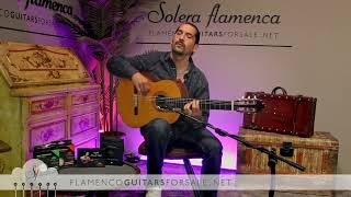 Francisco Barba 2017 flamenco guitar for sale played by José Andrés Cortés