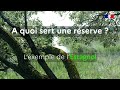 A quoi sert une réserve? L