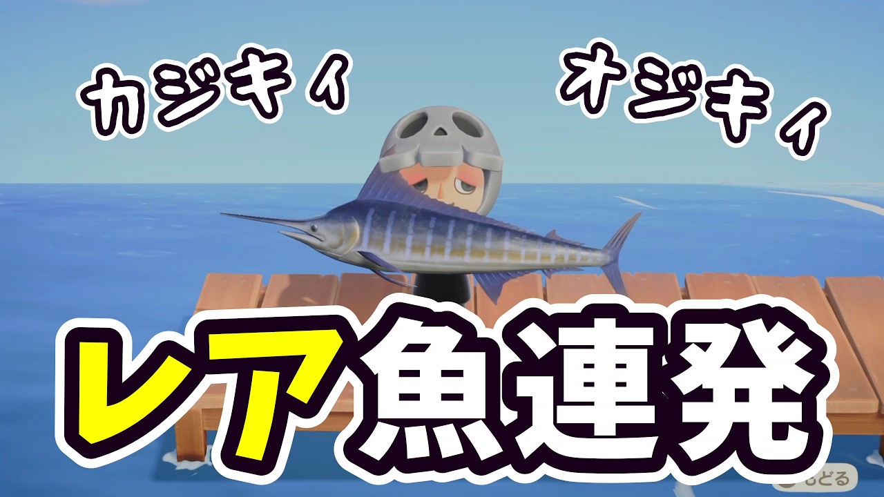 【あつ森】カジキが釣れたので、他のレア魚も釣る【Switch2】