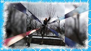 Yukarı izvit ali elci