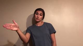ASL 1110 Zelda Project Final Signer: Michaela Howk