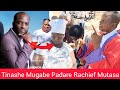 DNA Tinashe Mugabe Padare Rachief Mutasa